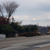 jnfc_1064_26071.jpg