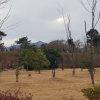 jnfc_1064_26074.jpg