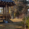 jnfc_1064_26079.jpg