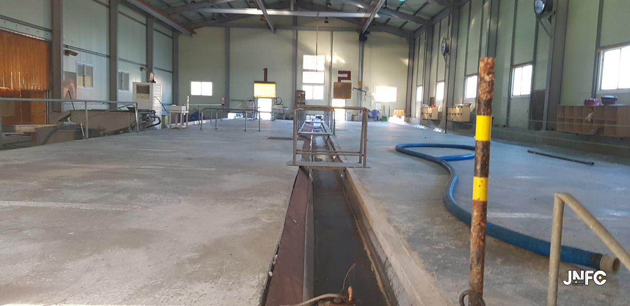 jnfc_1088_127455.jpg