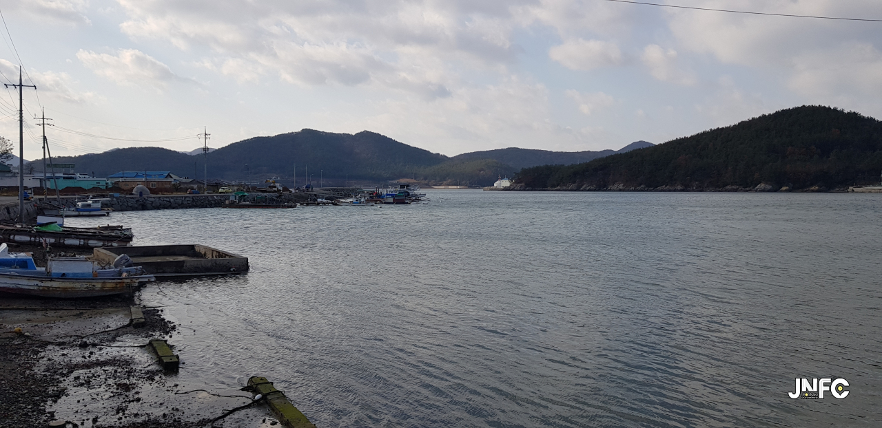 jnfc_1169_129397.jpg
