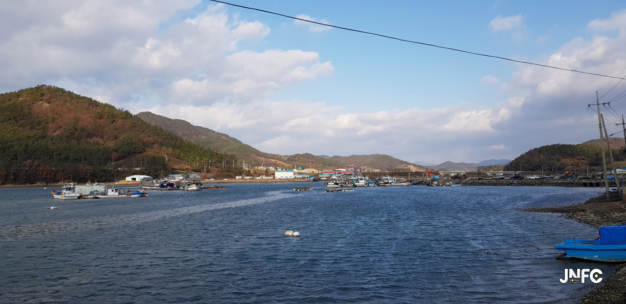 jnfc_1169_129406.jpg