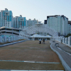 jnfc_117_127784.jpg