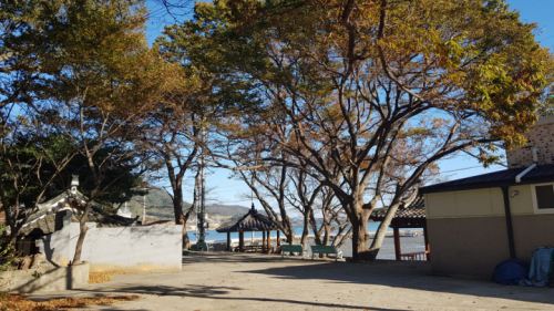 장수마을