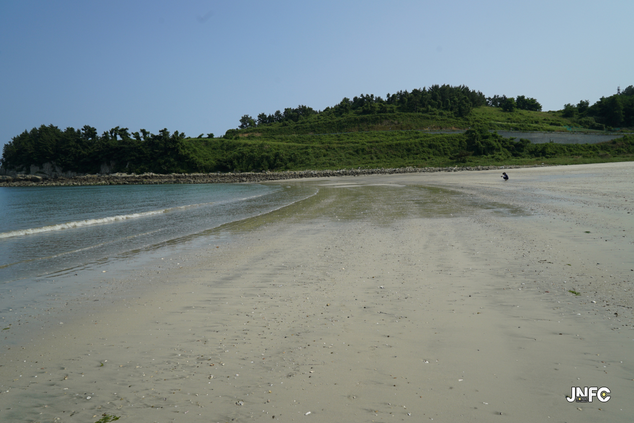 jnfc_123_127853.jpg