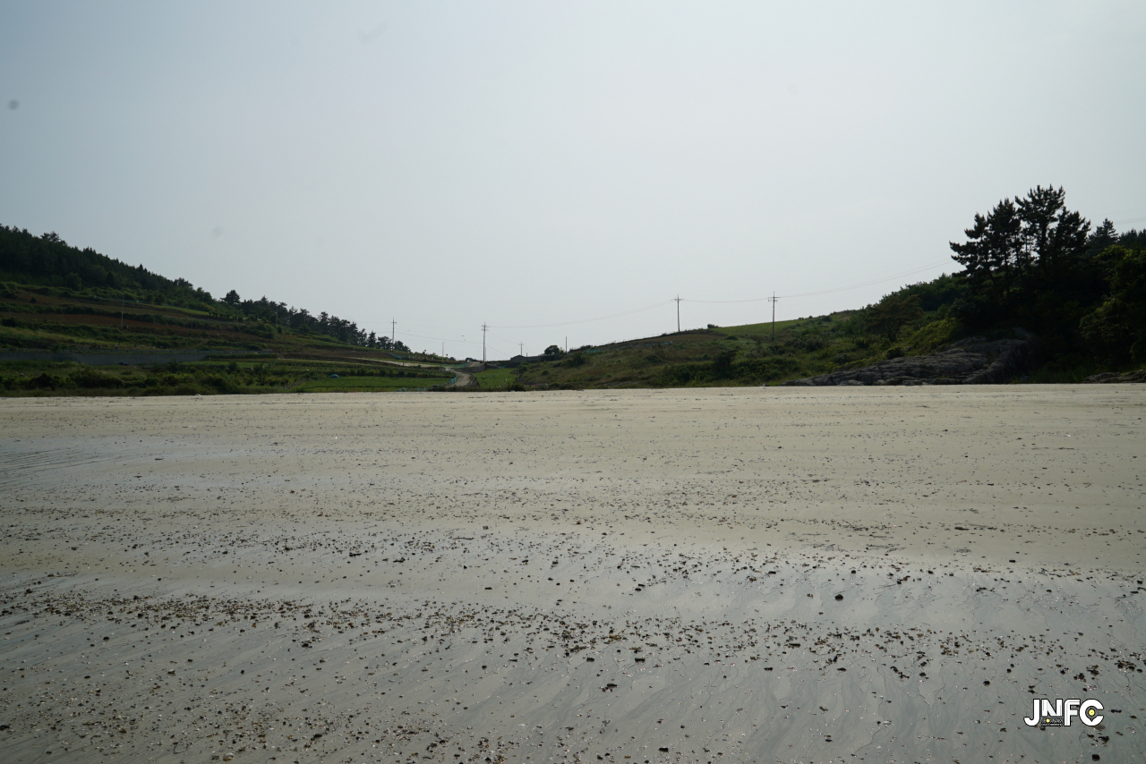 jnfc_123_127860.jpg