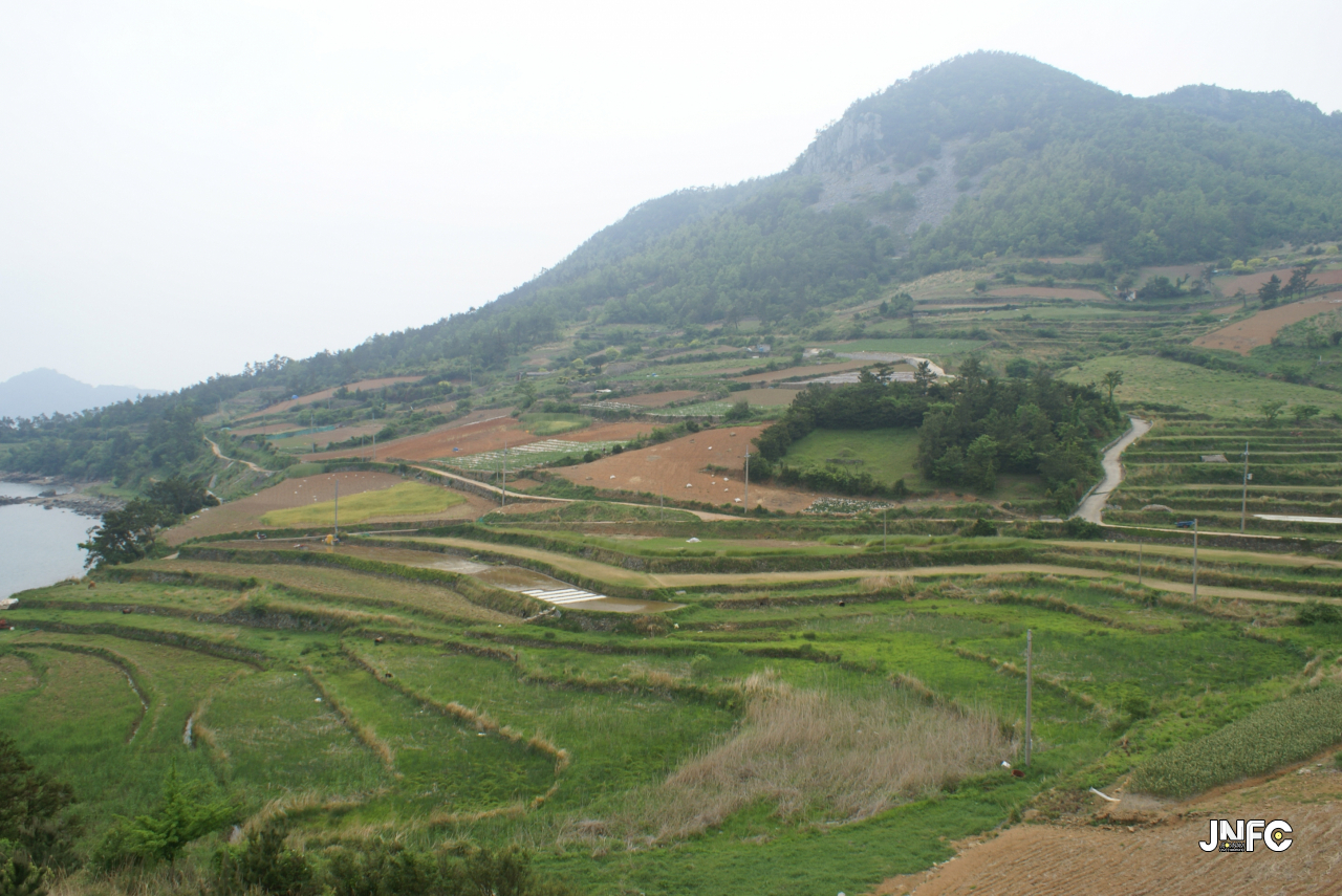 jnfc_124_127714.jpg