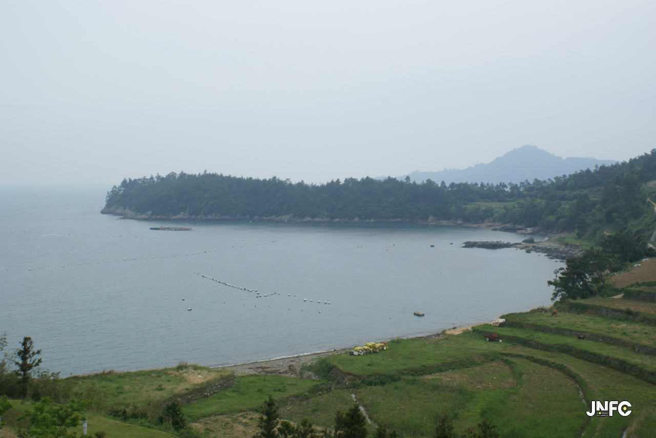 jnfc_124_127716.jpg