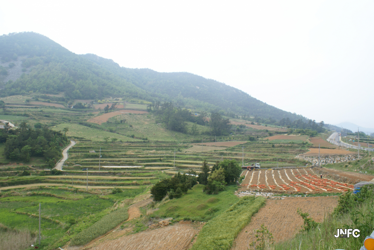 jnfc_124_127717.jpg