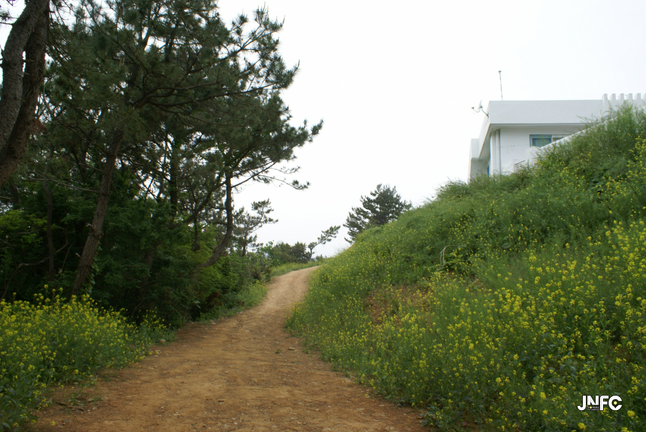 jnfc_125_127808.jpg