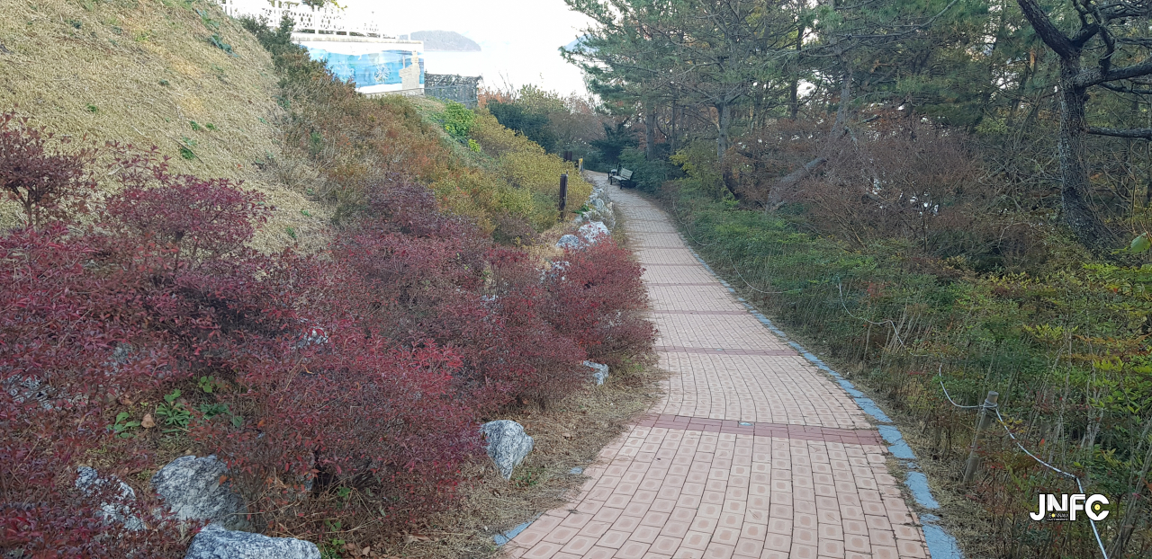 jnfc_125_127815.jpg