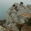 jnfc_1361_130667.jpg