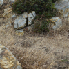 jnfc_1361_130670.jpg