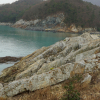 jnfc_1361_130671.jpg