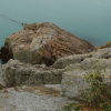 jnfc_1361_130673.jpg