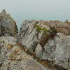 jnfc_1361_130675.jpg