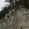 jnfc_1361_130676.jpg