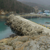 jnfc_1361_130680.jpg
