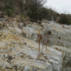 jnfc_1361_130681.jpg