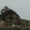 jnfc_1361_130683.jpg
