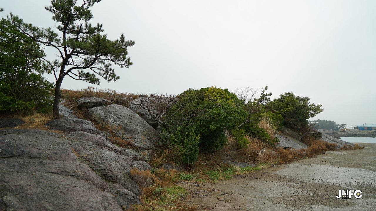 jnfc_1363_130626.jpg