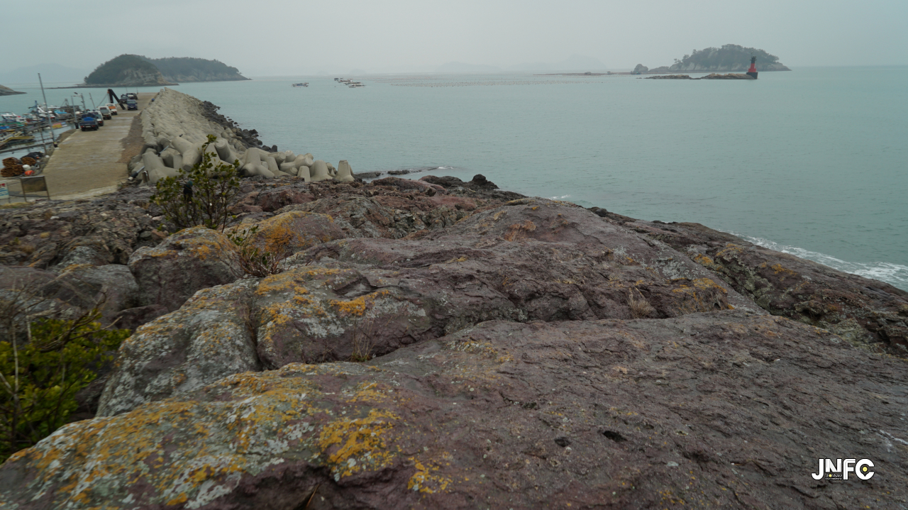 jnfc_1363_130627.jpg