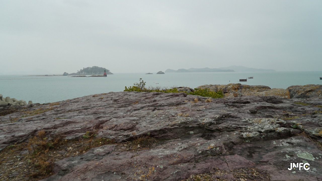 jnfc_1363_130630.jpg