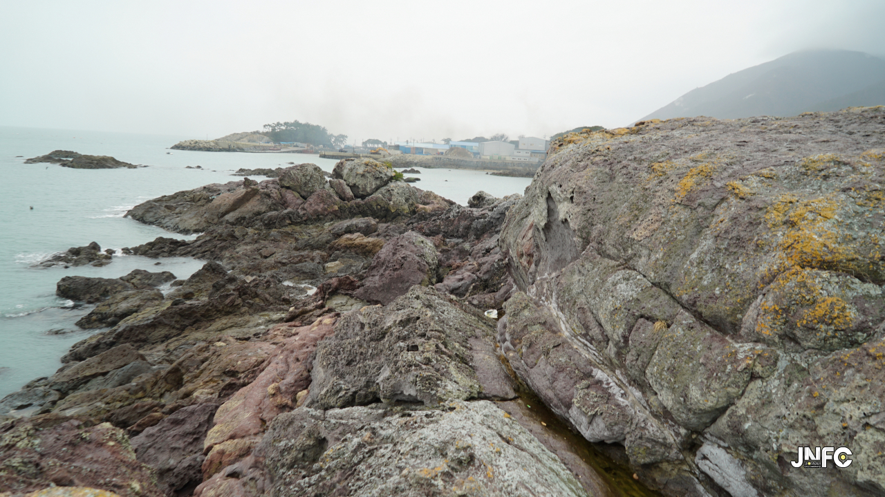 jnfc_1363_130635.jpg