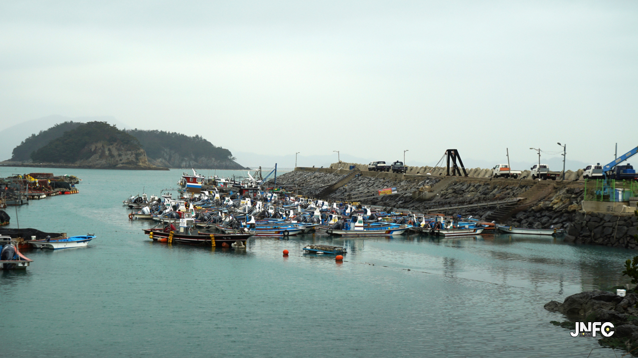 jnfc_1363_130646.jpg