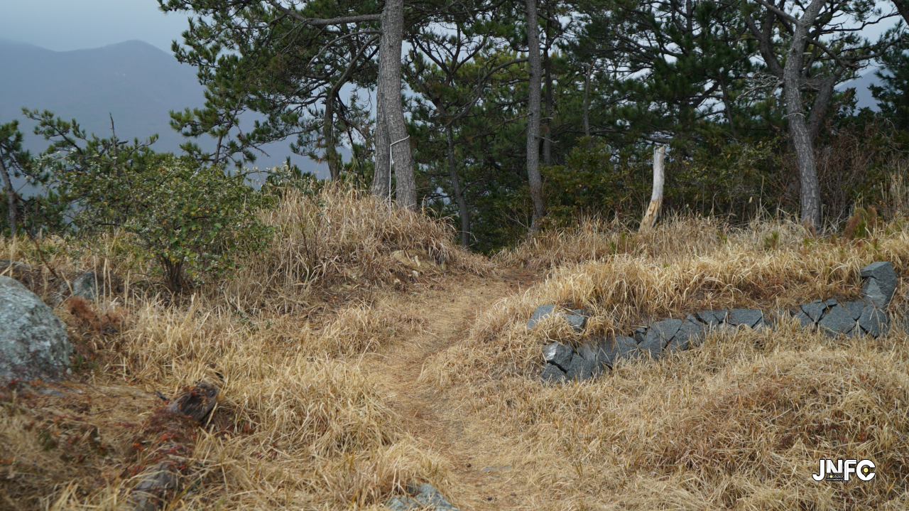 jnfc_1365_130655.jpg