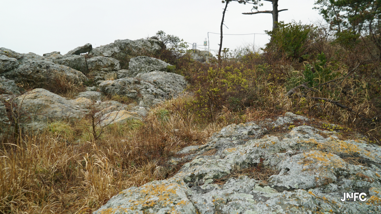 jnfc_1365_130658.jpg