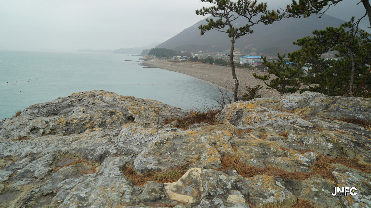 jnfc_1365_130662.jpg