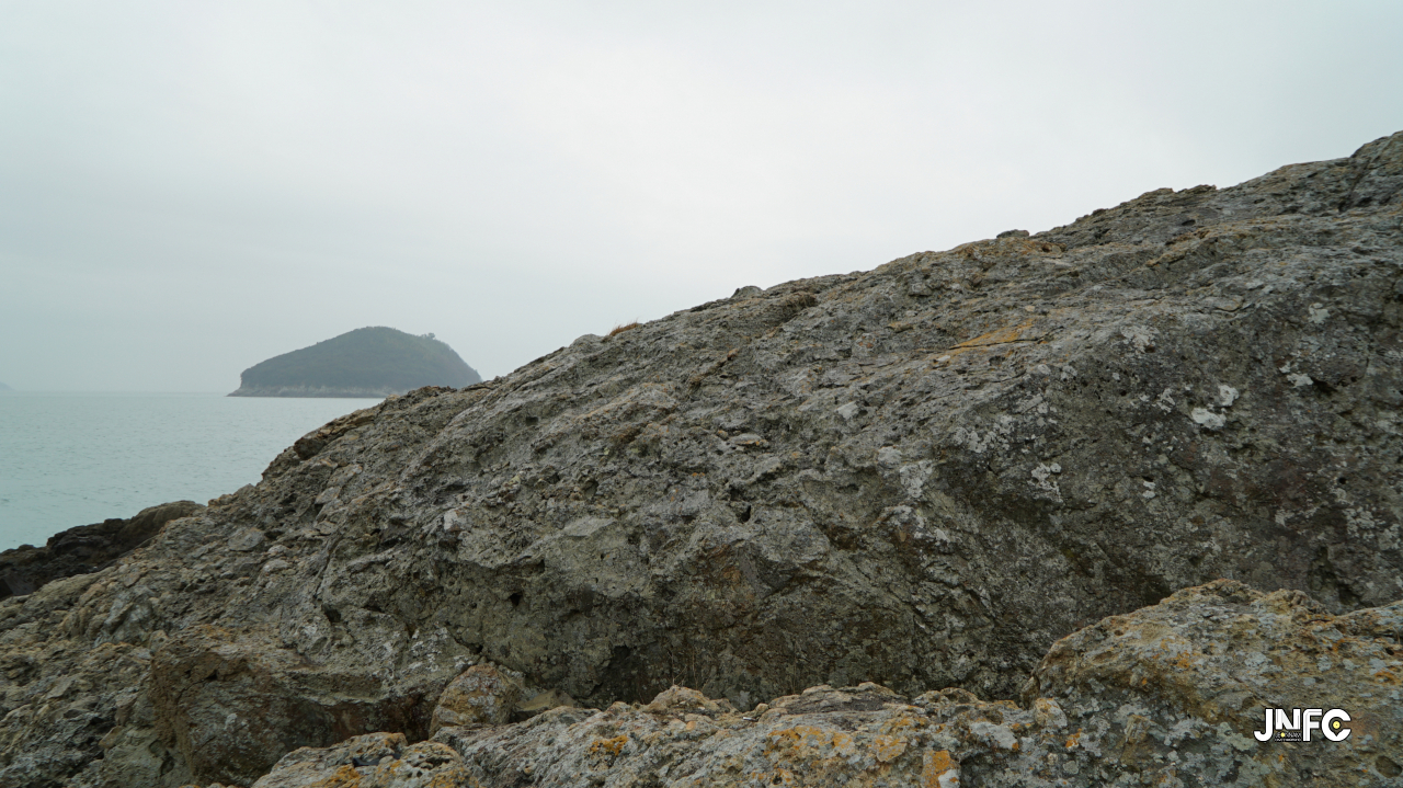 jnfc_1365_130664.jpg