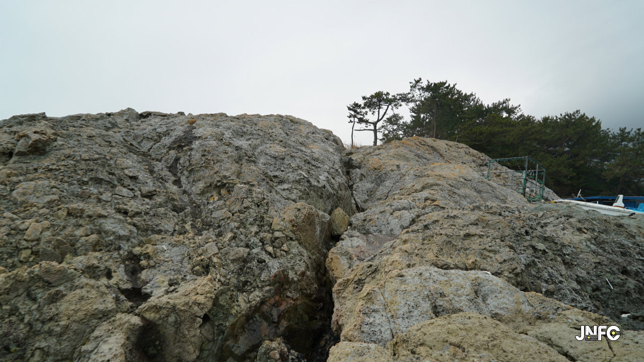 jnfc_1365_130665.jpg