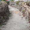 jnfc_1603_36178.jpg
