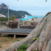 jnfc_1603_36179.jpg