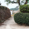 jnfc_1603_36181.jpg