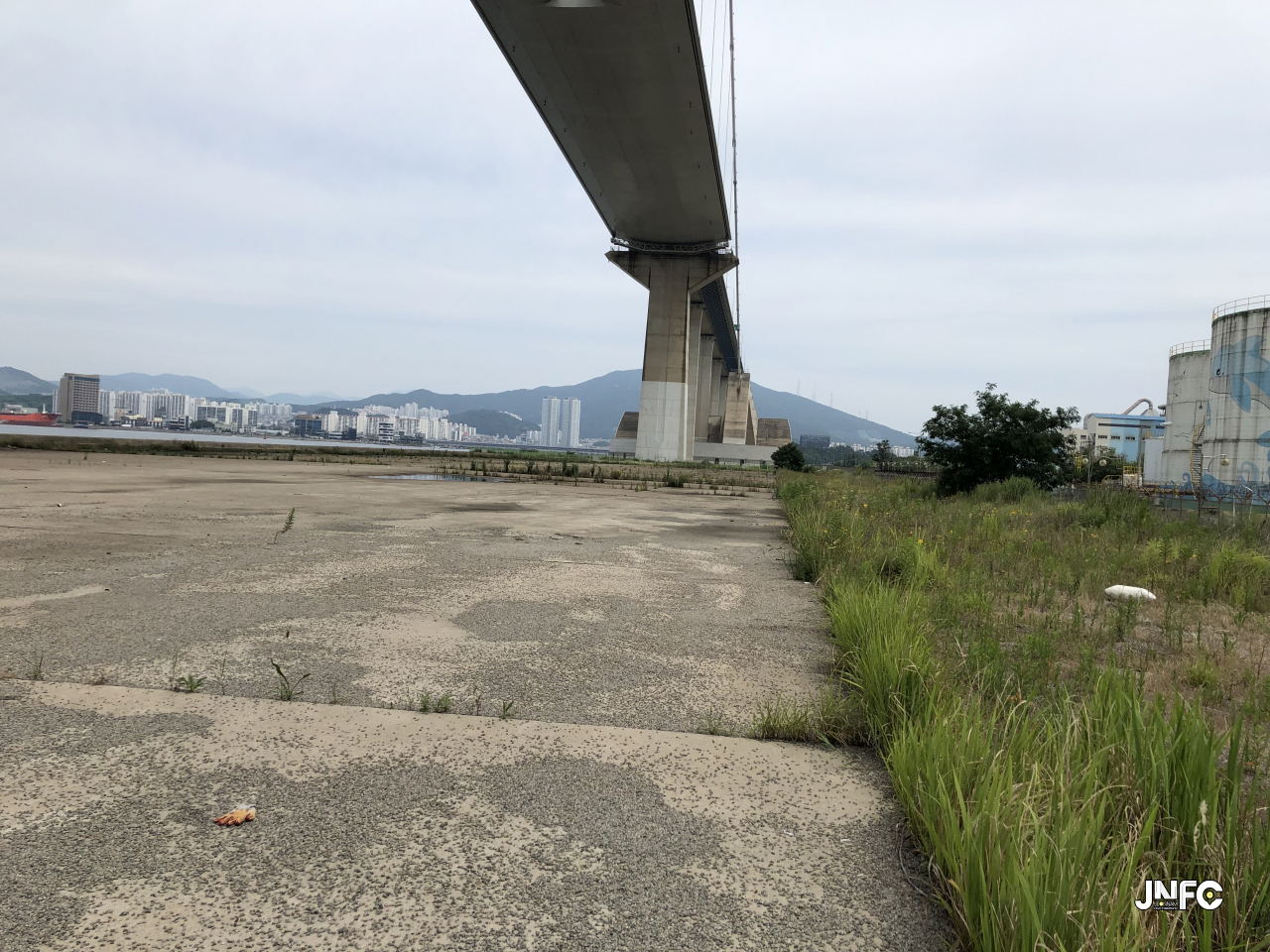 jnfc_165_130254.jpeg