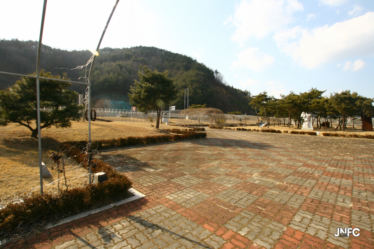 jnfc_1665_131020.jpg