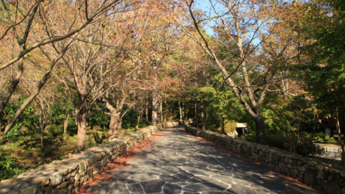 왕인박사유적지