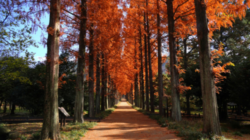 전라남도산림연구원