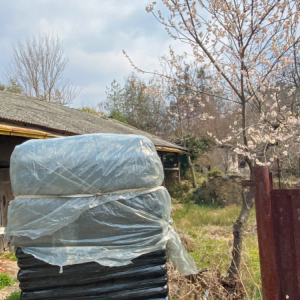 (폐) 황전면 폐가1