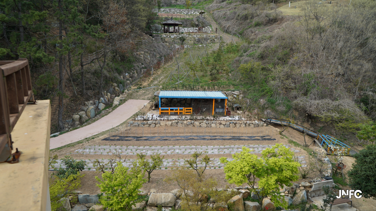 jnfc_1905_127409.jpg