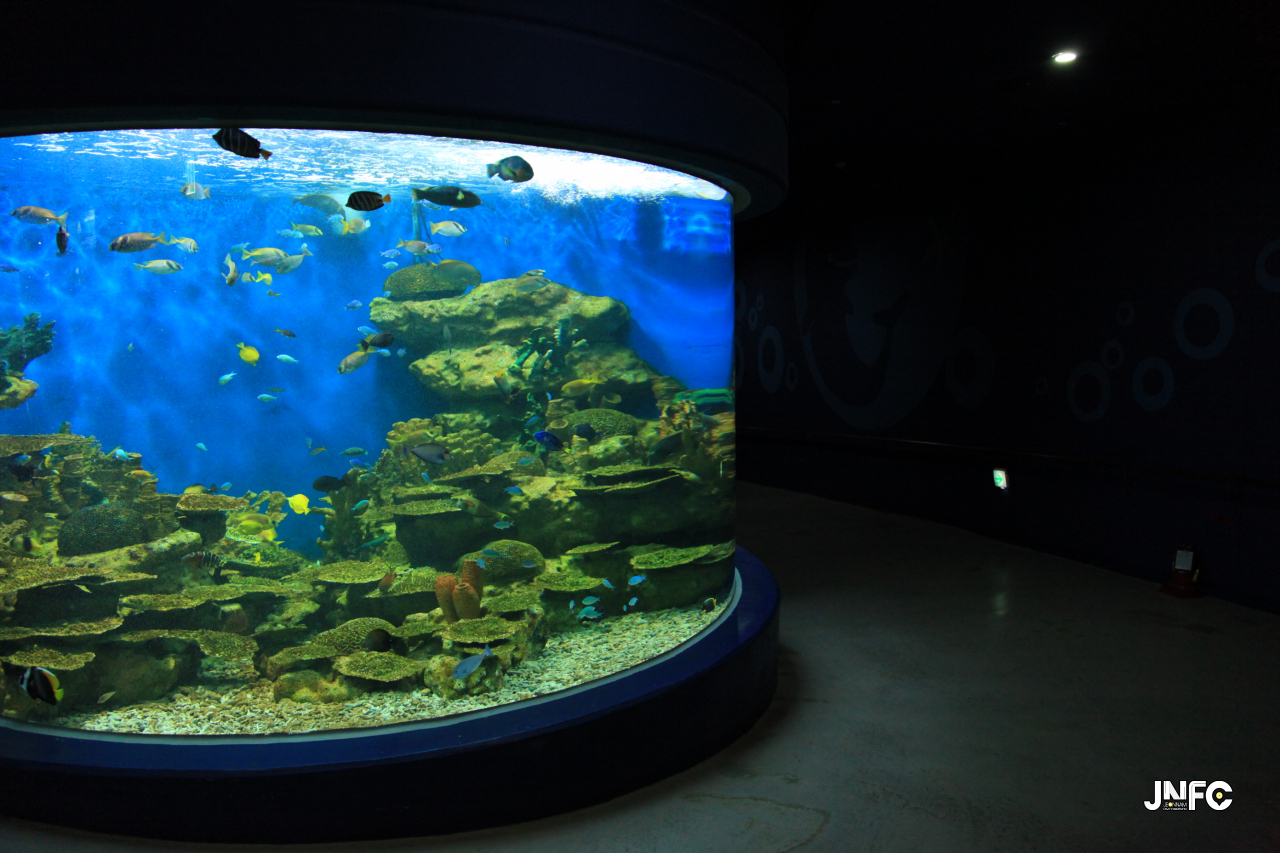 jnfc_191_127352.jpg