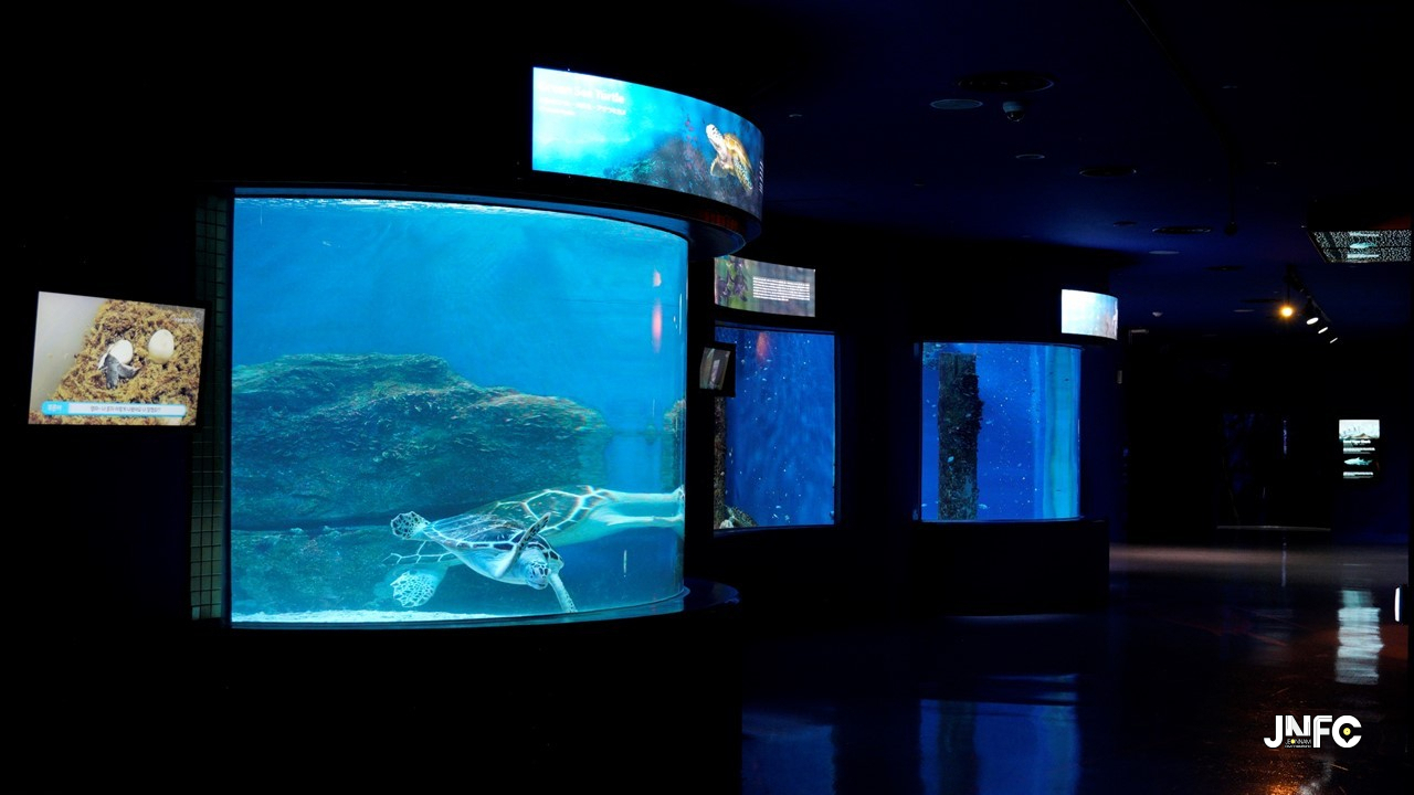 jnfc_191_129844.jpg