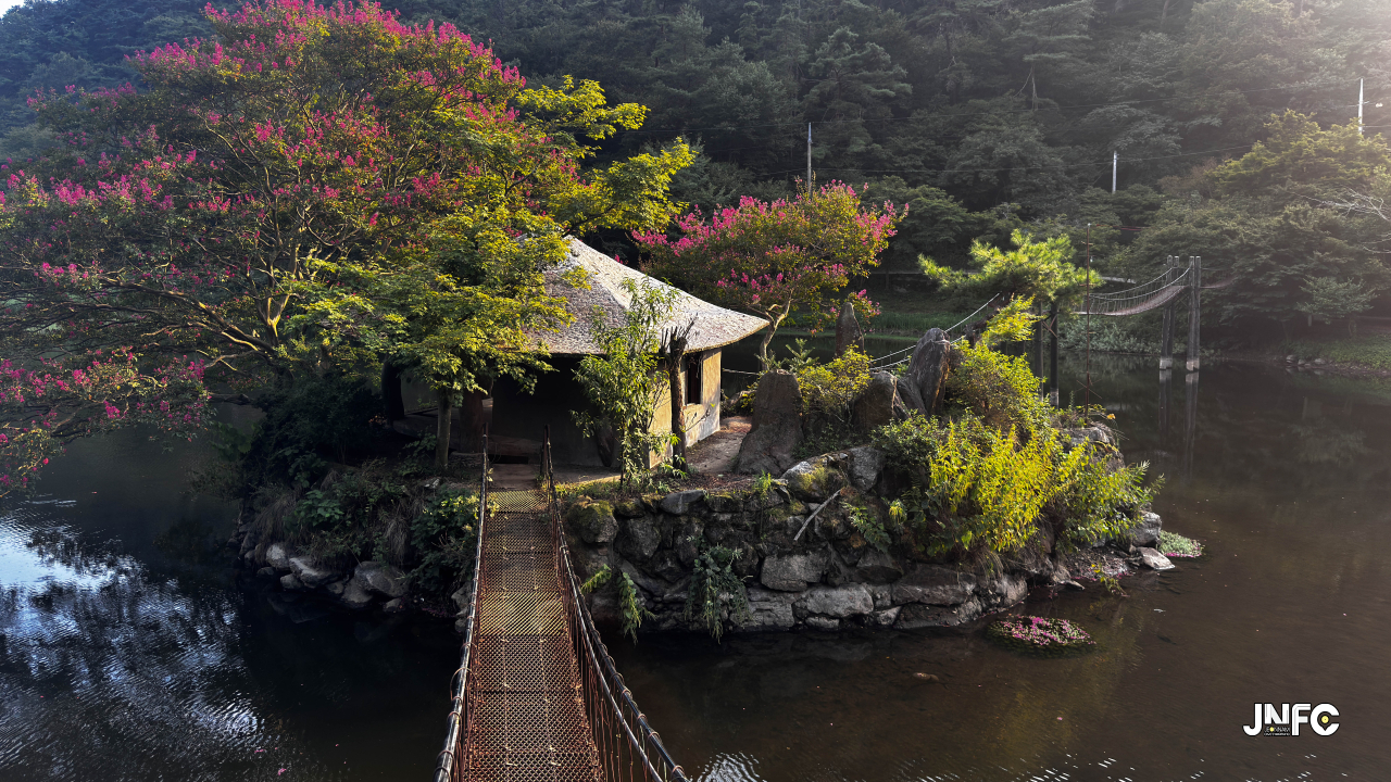 jnfc_1960_155963.jpg