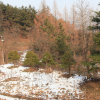 jnfc_1983_44310.jpg