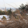 jnfc_1983_44311.jpg