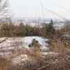 jnfc_1983_44312.jpg