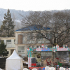 jnfc_1983_44318.jpg